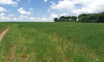 Imagem 3: Fazenda de arrendamento 2.000 hec em Caiapônia Go. Grade combinar