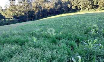 Imagem 6: Área de terra de 02 hás agricultável