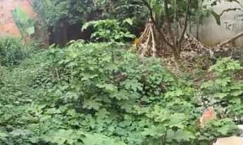 Imagem 4: Terreno Principal Ulises Guimarães