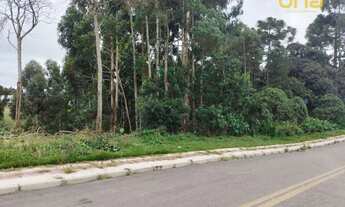 Imagem 7: Terreno à venda, 3700 m² por R$ 660.000,00 - Vila Brasila - Mandirituba/PR