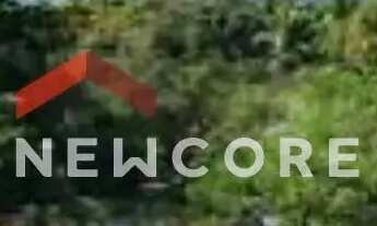 Imagem 2: Lote em Rua Boa Vista - Barra Velha - Ilhabela/SP