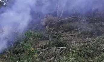 Imagem 2: Imóvel para venda tem 6393 metros quadrados em Gamboa - Cairu - BA