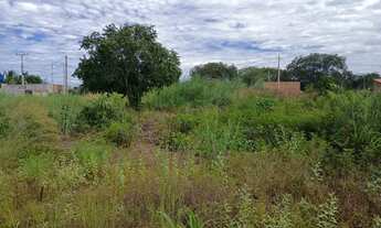 Imagem 2: Lote em sao jose dos bandeirantes Araguaia