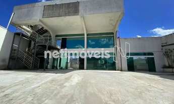 Imagem 3: Cobertura com 6 Quarto(s) e 4 banheiro(s) para Alugar, 2725 m² por R$ 50000 / Mês