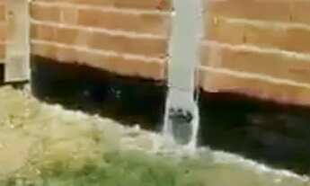 Imagem 6: Terreno cidade jardim 2