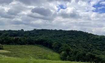 Imagem 6: Bosque dos Ciprestes Loteamento Charmoso em Ibiúna