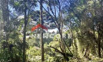 Imagem 3: Lote em Avenida Mata Atlântica - Alpes - São Francisco de Paula/RS
