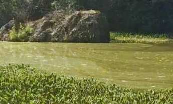Imagem 3: Lotes no bairro Vargem do Salto, Ibiúna - SP