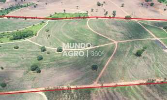 Imagem 2: 46 Alqueires em Cana - 6 km da usina COFCO