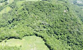 Imagem 3: Área de terra com potencial de vista à venda em Picada Café na Serra Gaúcha