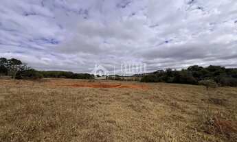 Imagem 4: Área para loteamento/condomínio com 250mil m², Alexânia - GO, 200m da BR 153