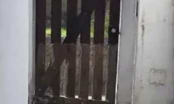 Imagem 4: Casa para Locação em Angra dos Reis, Centro, 1 dormitório, 1 banheiro