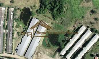 Imagem: Sitio com granjas, 200 mil aves