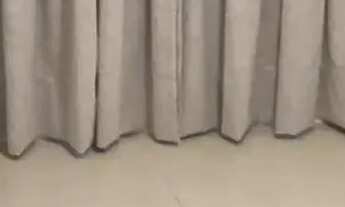 Imagem 2: Lindo apto para locação em Ondina