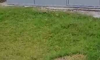 Imagem 2: Subauma - linha verde