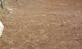 Imagem 3: Terreno à venda, 100 m² por R$ 315.000,00 - Condomínio Maracanã - Santo André/SP