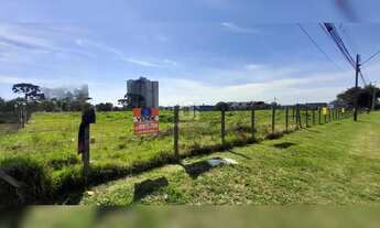 Imagem 6: Lote à venda em Pinhais | 716 m² | 15x49