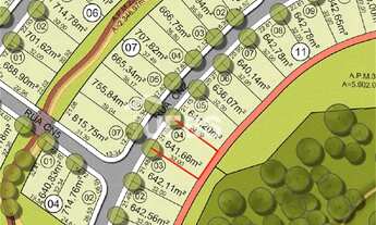 Imagem 5: LOTE PLATEAU DOR PRIVILEGE - FUNDO DE MATA