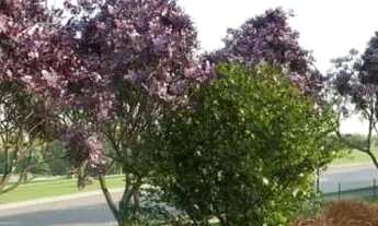 Imagem 5: Terreno à venda em Campinas, Residencial Jatibela, com 478 m², Artesano Galleria