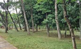 Imagem 5: Casa comercial Parque das Laranjeiras