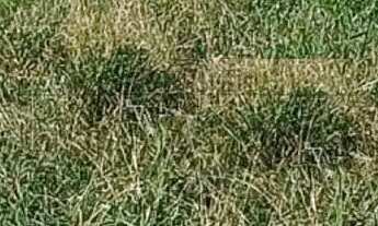 Imagem: Oportunidade - Terreno Plano - Parque dos