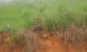 Imagem 5: Vendo terreno no horto