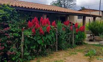 Imagem 5: CHÁCARA NO BAIRRO DOS LEITES PIEDADE - 3 QUARTOS - 2 SALAS - QUINTAL GRAMADO - CHURRASQUEI