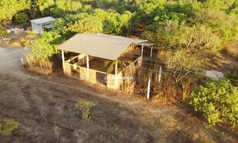 Imagem 2: Chácara, 12.000 m² - Próximo ao Rancho Sucupira - Palmas/TO