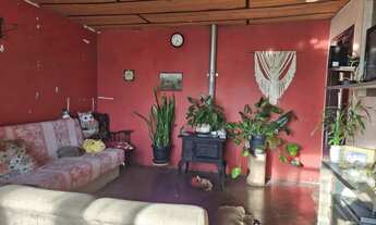 Imagem 5: Casa com amplo jardim