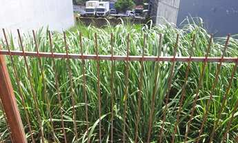 Imagem 4: Terreno Avenida Brasil