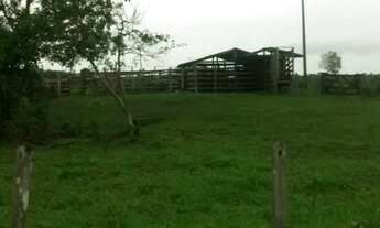 Imagem 3: 56 alqueires a 140 km de Belem por 4.500.000,00 toda no pasto