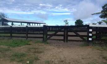 Imagem: Inperdivel fazenda em roraima