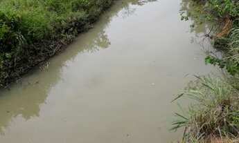 Imagem 2: 11 alqueiros em Mozarlândia