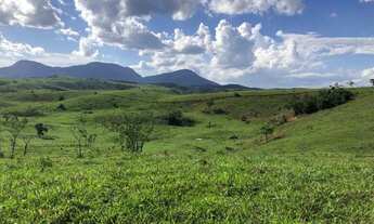 Imagem: Propriedade rural a venda com 12,5 alqueires