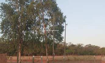 Imagem 2: AREADO (SãO GABRIEL DO OESTE) - Sítio - Areado