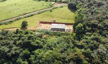 Imagem 2: LATICINIO EM ATIVIDADE EM FAZENDA DE 25 HA COM ÓTIMA PRODUÇÃO E ÓTIMA LOGISTICA