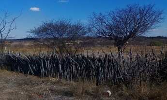 Imagem: Terreno Sitio Terra Nova