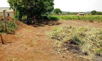 Imagem 4: Lote no assentamento santa monica