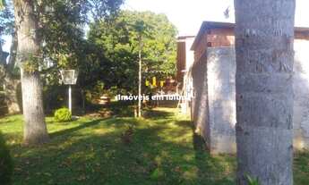 Imagem 7: Ibiúna - Chácara - Figueira