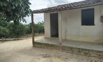 Imagem: Sítio no povoado Cabral em Salgado