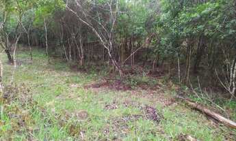 Imagem 5: Terreno em laranjal Paulo lopes