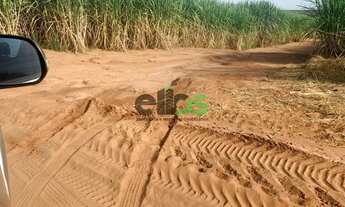 Imagem 2: Fazenda com 109 alqueires, - em CANA ARRENDADA, à venda por R$ 25.000.000,00 - em Itápolis
