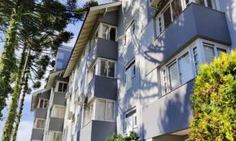 Imagem 4: CANELA - Padrão - Centro