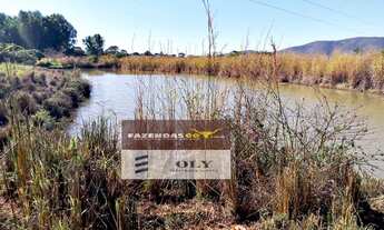 Imagem 5: Fazenda de Oportunidade ! 57 Alqueires - Barro Alto !