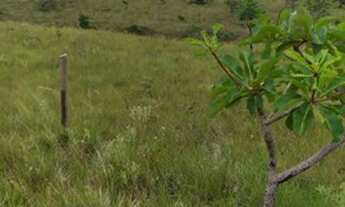 Imagem 5: Fazendinha com 95.700m² Próximo a Morada Nova ((região de Três Marias,MG) por 95.700,00