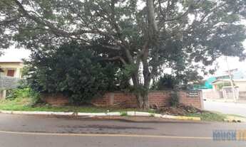 Imagem: Canoas - Terreno Padrão - São José