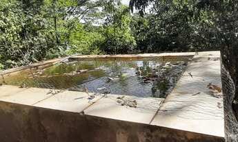 Imagem 6: Chacara 20 mil metros quadrados