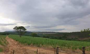 Imagem 3: Sítio Cajuru em Cana de açúcar