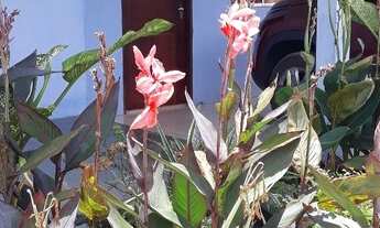 Imagem: Baixou130.000mil vendo uma propriedade rural