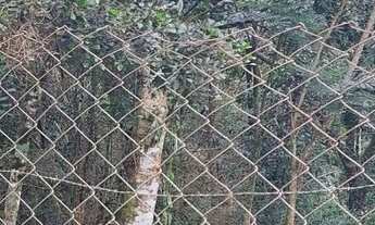 Imagem 2: Terreno 1053 metros Parque Pedra do Bau